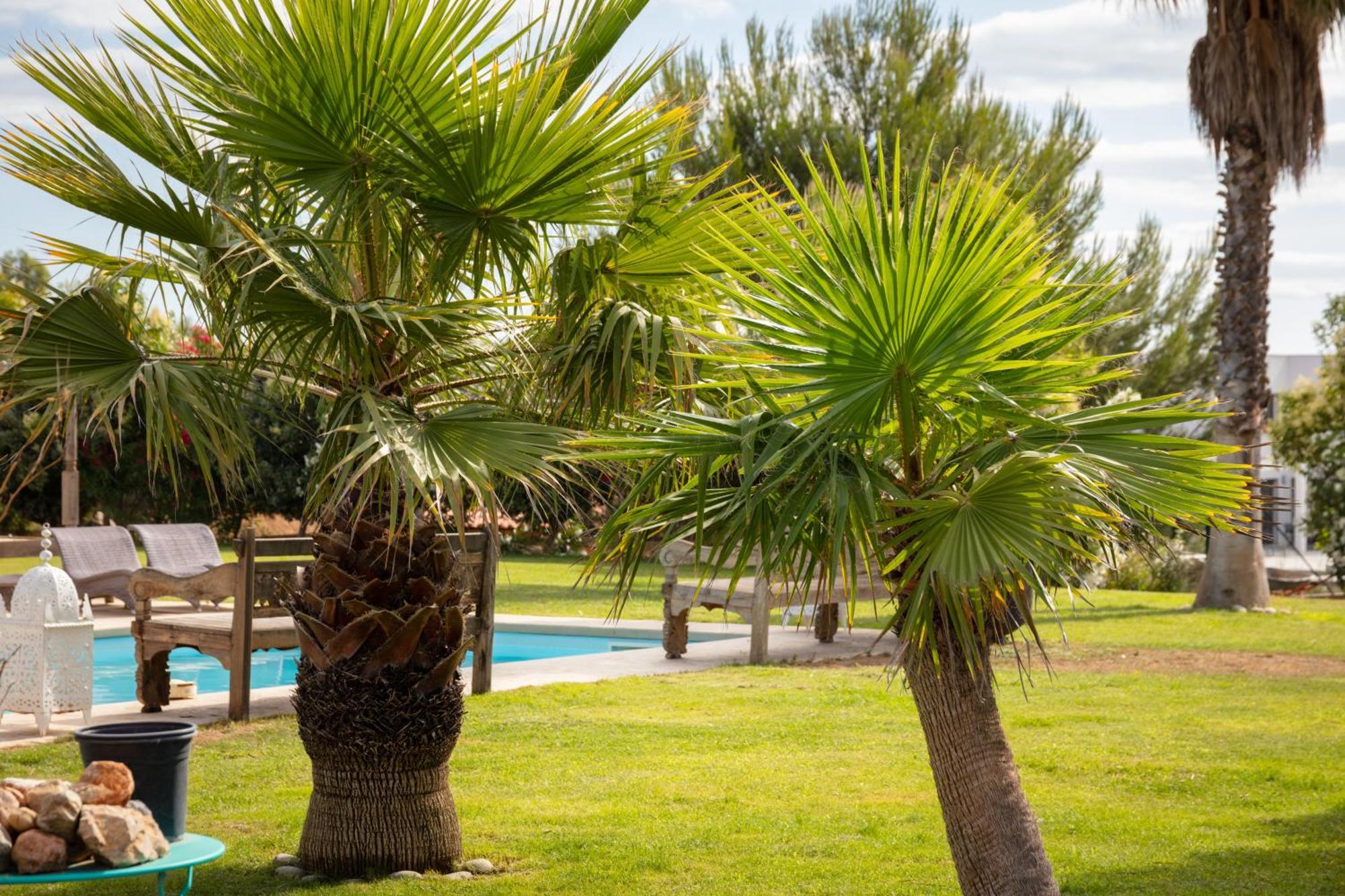 Escapades Lointaines Bed and Breakfast Perpignan Exteriör bild